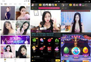 网易爆料最新新闻视频,揭秘最新热点事件背后的真相