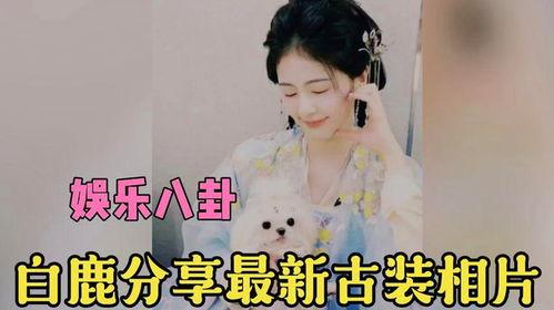 爆料白鹿综艺节目视频在线观看,独家视频在线观看